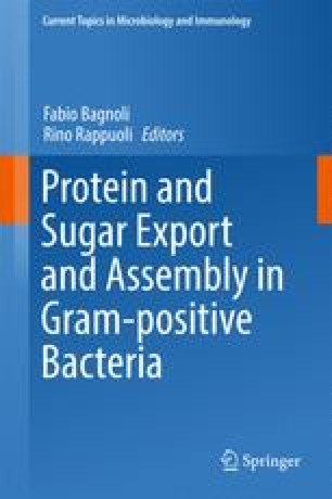 Envelope Structures Of Gram Positive Bacteria Springerlink