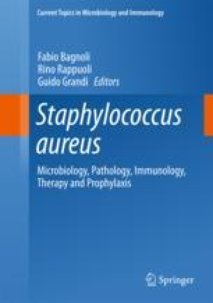 Treatment Of Staphylococcus Aureus Infections Springerlink