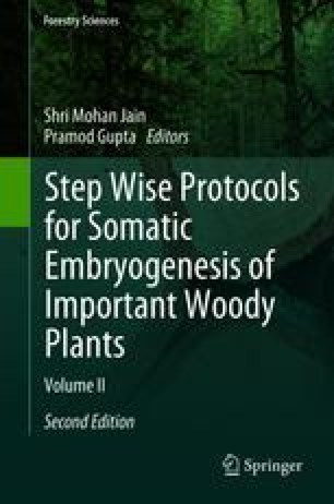 Universiti Putra Malaysia Acoustic Properties Of Elaeis Guineensis Jacq Fibreboard Semsolbahri Pdf Document