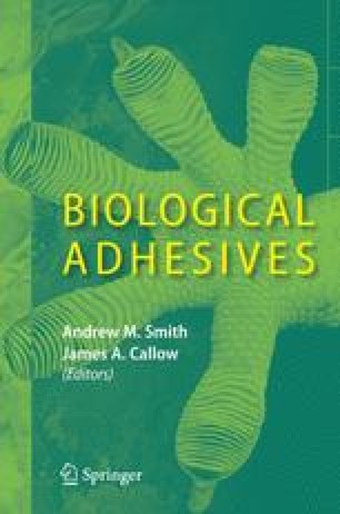 Properties Principles And Parameters Of The Gecko Adhesive