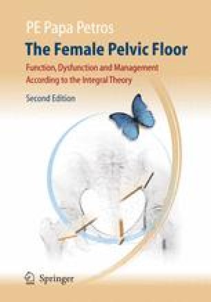 The Female Pelvic Floor Springerlink