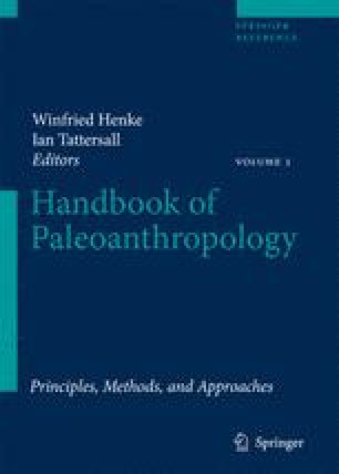 1 Historical Overview Of Paleoanthropological Research Springerlink