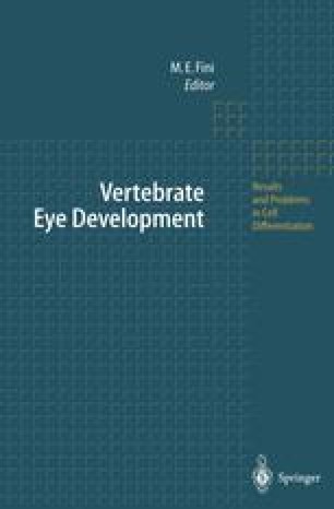Genetic Analysis Of Eye Development In Zebrafish