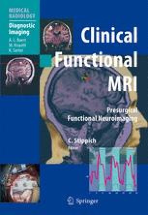 Functional Neuroanatomy Springerlink Functional Neuroanatomy Springerlink