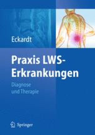 Funktionelle Anatomie Und Physiologie Der Lendenwirbelsaule Und Physiologische Alterungsprozesse Springerlink