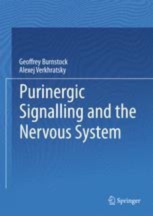 Evolution Of Purinergic Signalling Springerlink - 