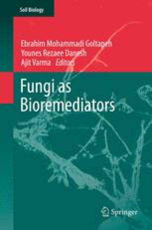 Mycoremediation Of Heavy Metals Springerlink