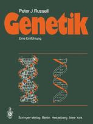 Proteinbiosynthese Translation Springerlink