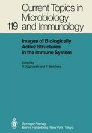 Anti-Idiotypes, Receptors, and Molecular Mimicry