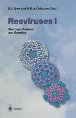 Reovirus S3 Protein Dsrna Binding And Inhibition Of Rna Activated Protein Kinase Springerlink