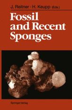 Taxonomic Value Of Microstructural Features In Calcified