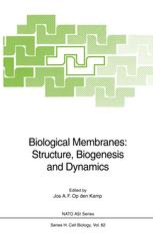 Division of the Golgi apparatus during mitosis in animal cells