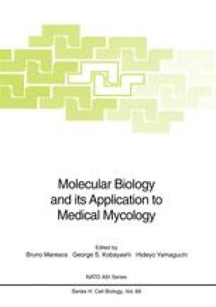Physiological functions of vacuoles in yeast: Mechanism of