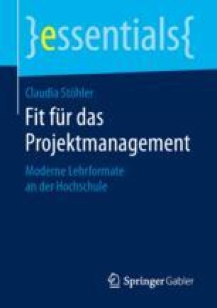 Projektmanagement Curriculum Inhaltsdimension Springerlink