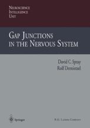 Gap Junctions as Electrical Synapses | SpringerLink