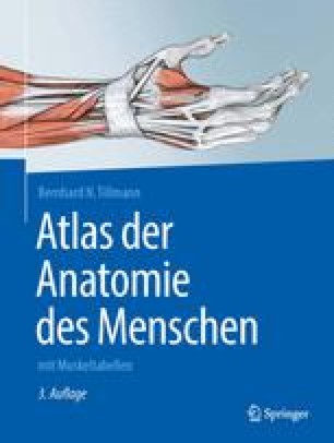 Atlas Der Anatomie Des Menschen Springerlink