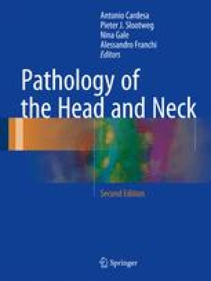 Nasal Cavity and Paranasal Sinuses | SpringerLink