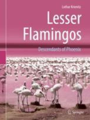 East Africa Hub Of The Unresting Lesser Flamingo Springerlink