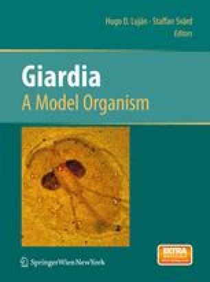 giardiasis taxonómia