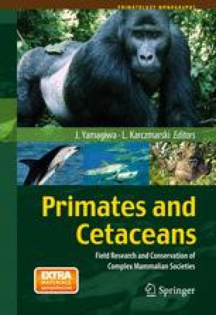 Social Touch In Apes And Dolphins Springerlink