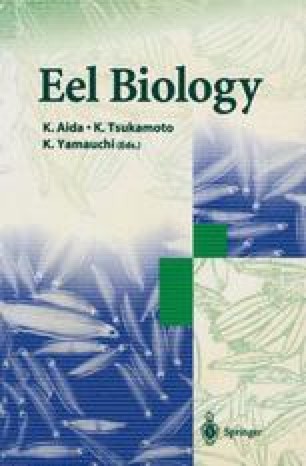Reproductive Endocrinology Of The European Eel Anguilla Anguilla Springerlink