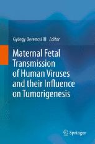 Fetal And Neonatal Illnesses Caused Or Influenced By Maternal Transplacental IgG And/or Therapeutic Antibodies Applied During Pregnancy | SpringerLink Fetal And Neonatal Illnesses Caused Or Influenced By Maternal Transplacental IgG And/or Therapeutic Antibodies Applied During Pregnancy | SpringerLink