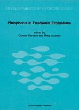phosphorus ag source phosphorus ag source