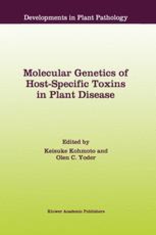 Mechanics Of Invasive Fungal Growth And The Significance