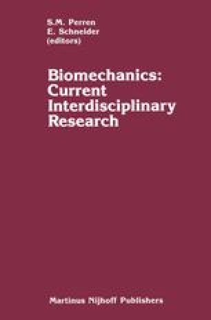 epic sports biomechanics