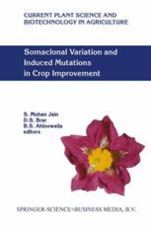 Genetic Fidelity Of Plants Regenerated From Somatic Embryos Of Cereals Springerlink