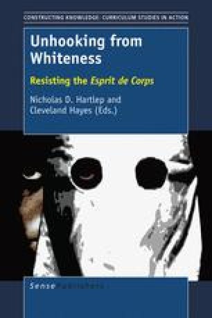 The Spook Who Sat By The Door Springerlink