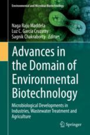 Mathematical Modeling Challenges Associated With Waste Anaerobic Biodegradability Springerlink