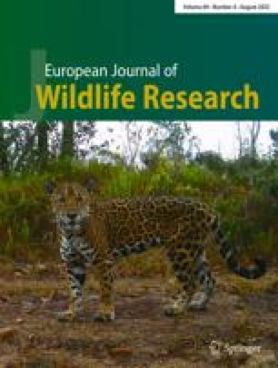 Begriff Und Entwicklung Der Jagd Ethik Springerlink -