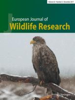 Admixture Between Released And Wild Game Birds A Changing