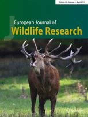 european journal of wildlife research