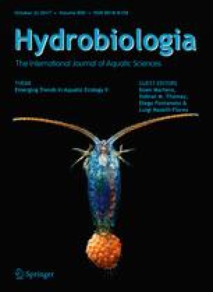 diversity patterns and biogeography