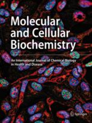 Molecular and Cellular Biochemistry | Home