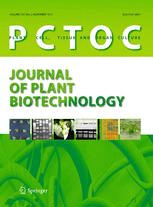 Microspore culture protocol for Indonesian Brassica oleracea SpringerLink Microspore culture protocol for Indonesian Brassica oleracea SpringerLink