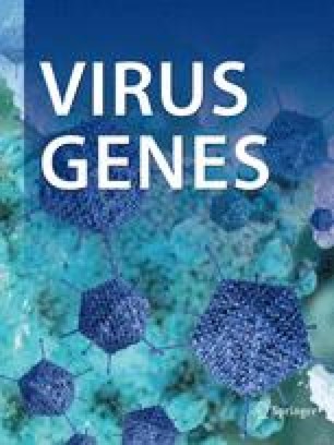 Dangerous Viruses Such As Ebola Filovirus In Tropical