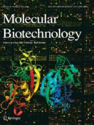 springerlink