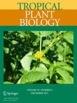 Phytochemicals in banana image