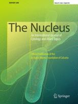 The Nucleus Countryofpapers
