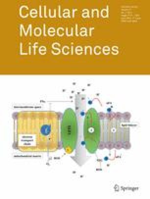 Impact Of T Cell Selection Methods In The Success Of Clinical