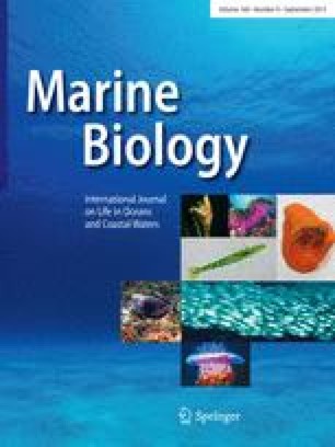 Sponge-inhabiting barnacles on Red Sea coral reefs | SpringerLink