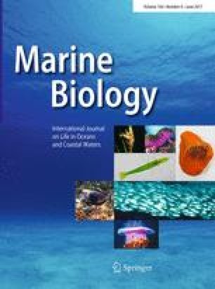 Science thesis example image