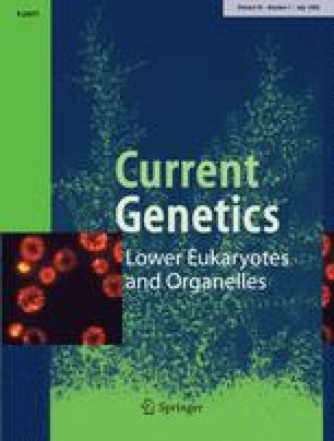 compare two gene sequences compare two gene sequences
