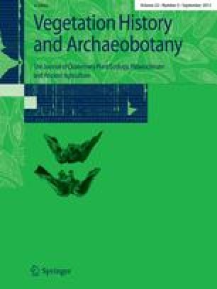 Arkeologi radiocarbon dating