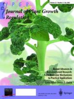 Brassinosteroid-Mediated Stress Responses | SpringerLink