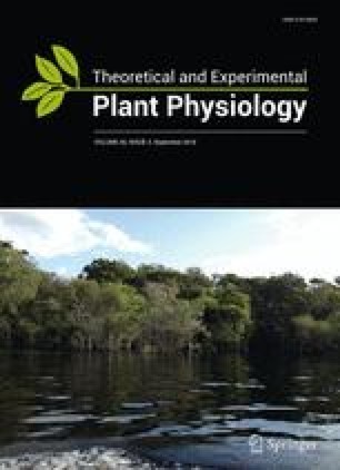 Theoretical And Experimental Plant Physiology Springer - 