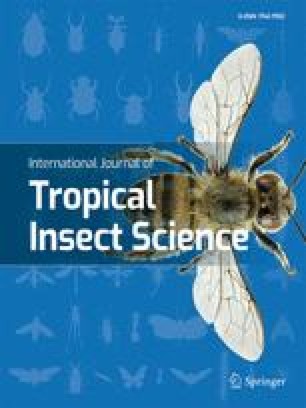 Susceptibility Of The Human Head And Body Louse Pediculus Humanus Anoplura Pediculidae To Insecticides Springerlink